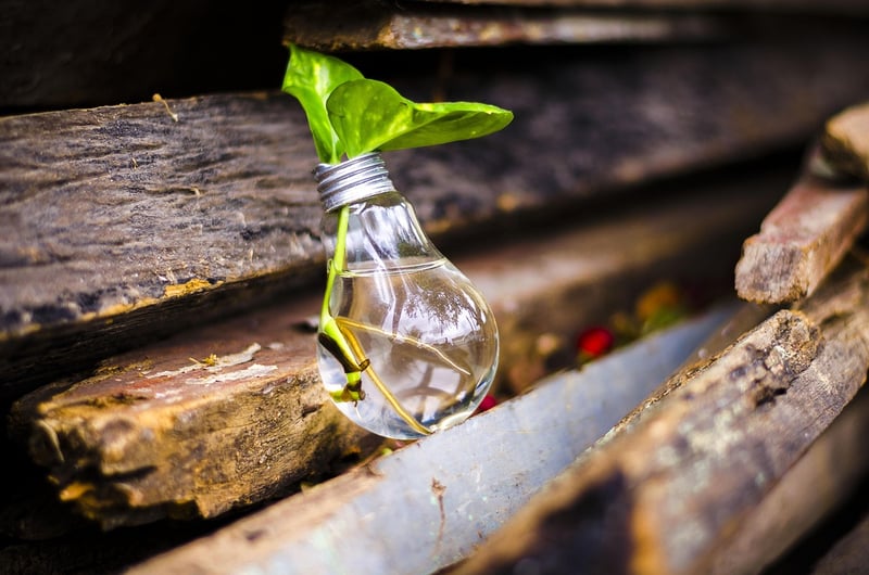 Sustainable Upcycling Ideas
